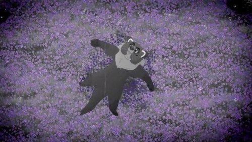 Background image for Mama Binturong