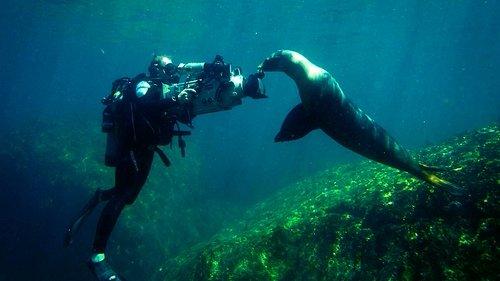 Background image for Sea of Cortez