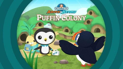 Octonauts: Above & Beyond Season 1 Episode 24 - The Octonauts and the Puffin Colony