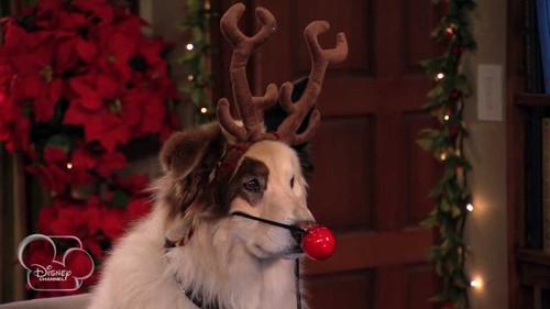 Dog with a Blog Season 1 Episode 6 - Bark! the Herald Angels Sing