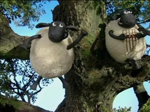 Shaun the Sheep Season 1 Episode 39 - Save the Tree