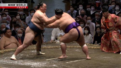GRAND SUMO Highlights Season 11 Episode 7 - Day 7