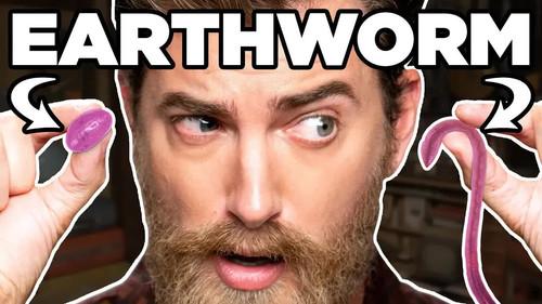 Good Mythical Morning Season 16 Episode 7 - Nasty Jelly Bean vs. Real Food Challenge