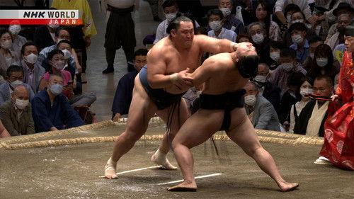 GRAND SUMO Highlights Season 13 Episode 12 - Day 12