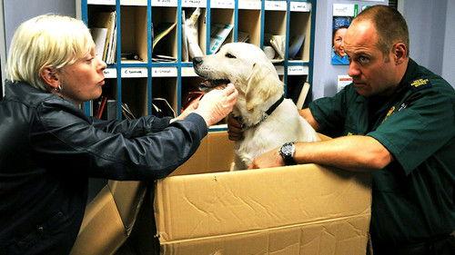 Casualty Season 23 Episode 10 - Impact