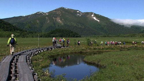 Seasoning the Seasons Season 3 Episode 14 - Oze: A Mountain Marshland