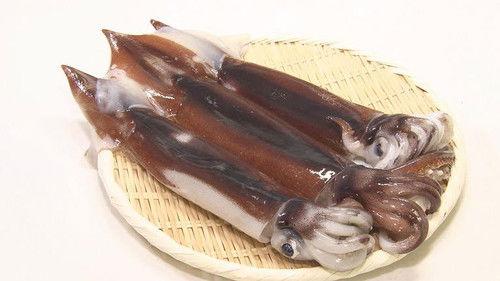 Background image for Ika