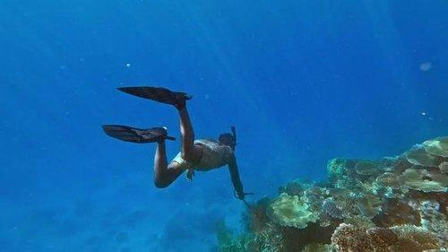 Background image for Coconut Etiquette