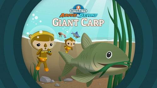 Octonauts: Above & Beyond Season 2 Episode 21 - Giant Carp