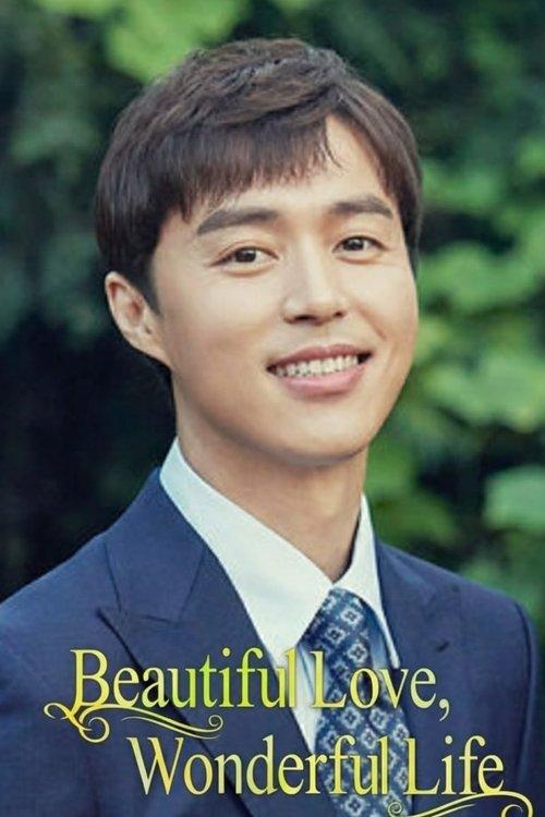 Beautiful Love, Wonderful Life poster