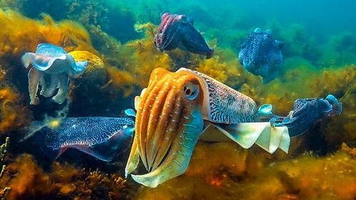 Background image for Deep Feelings