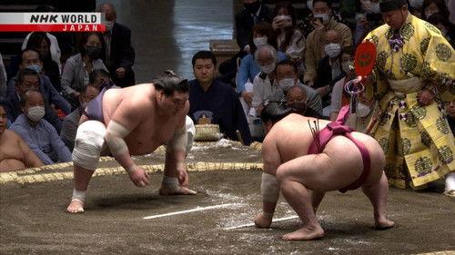 GRAND SUMO Highlights Season 11 Episode 1 - Day 1