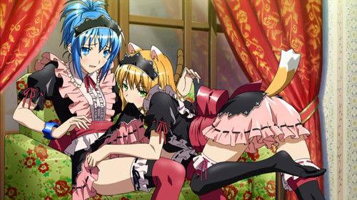 Background image for Homecoming, are You My Friend or Enemy?