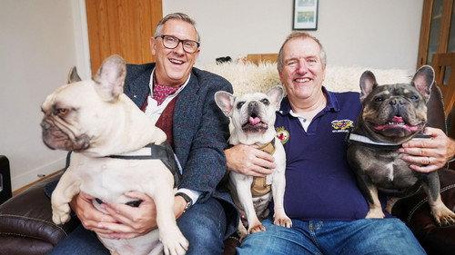 Dogs Behaving (Very) Badly Season 6 Episode 12 - Episode 12