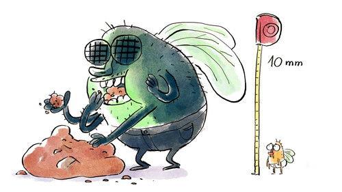 Tu mourras moins bête Season 3 Episode 6 - Episode 6