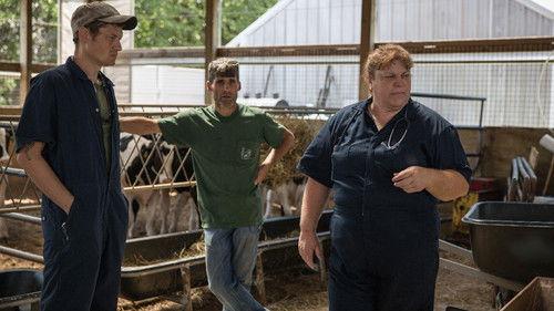 The Incredible Dr. Pol Season 16 Episode 8 - Moo in Town