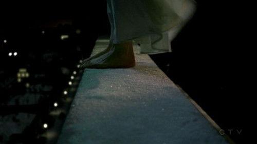 CSI: NY Season 5 Episode 20 - Prey