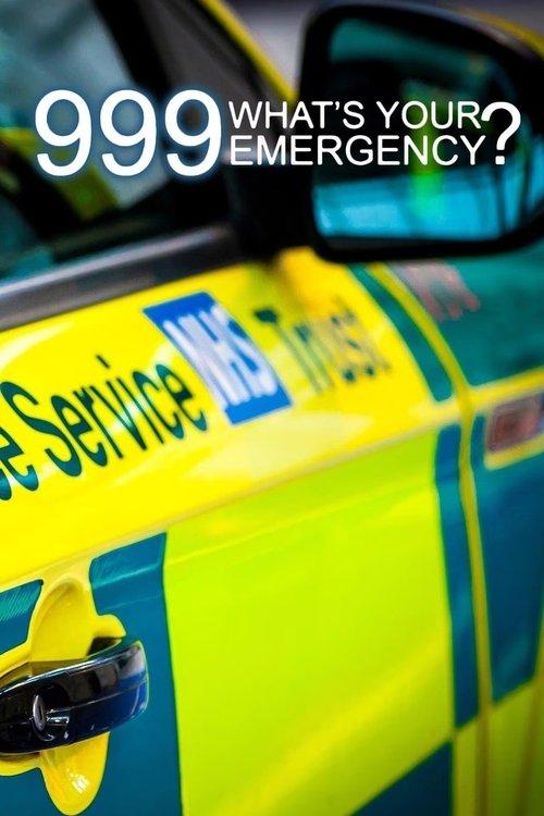999: What's Your Emergency? poster