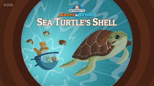 Octonauts: Above & Beyond Season 3 Episode 22 - Sea Turtle’s Shell
