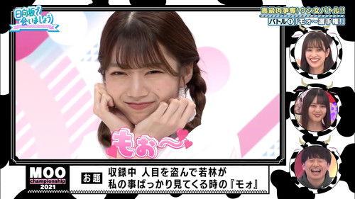 Let's Meet at Hinatazaka Season 3 Episode 1 - Year of the Ox Battle Part 1