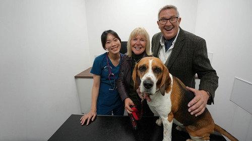 Dogs Behaving (Very) Badly Season 8 Episode 3 - Episode 3