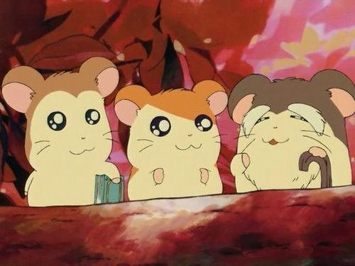 Hamtaro Season 1 Episode 11 - The Wise, Elder Ham
