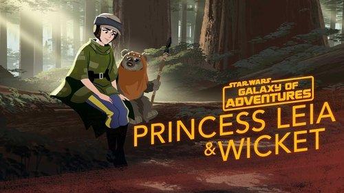 Star Wars Galaxy of Adventures Season 1 Episode 24 - Princess Leia - An Unexpected Friend