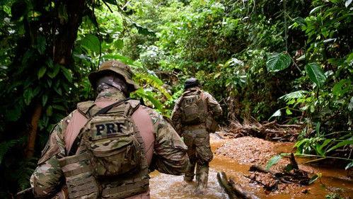 Border Control: Brazil Season 4 Episode 12 - Episode 12