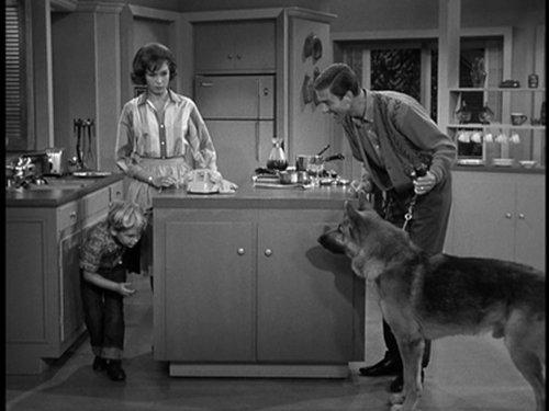 The Dick Van Dyke Show Season 1 Episode 9 - The Unwelcome Houseguest