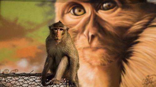 Background image for Residents