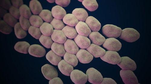 Frontline Season 31 Episode 16 - Hunting the Nightmare Bacteria