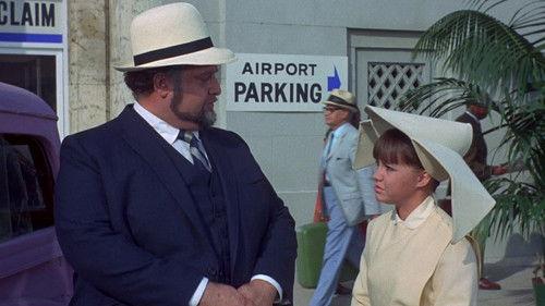 The Flying Nun Season 2 Episode 13 - The Landlord Cometh