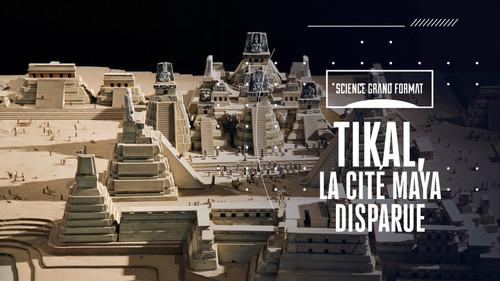 Science grand format Season 3 Episode 35 - Episode 35