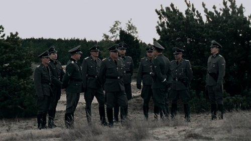 Background image for Surprising Beginnings