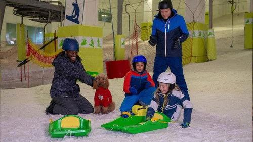 Waffle the Wonder Dog Season 4 Episode 5 - Waffle Gets Snowy