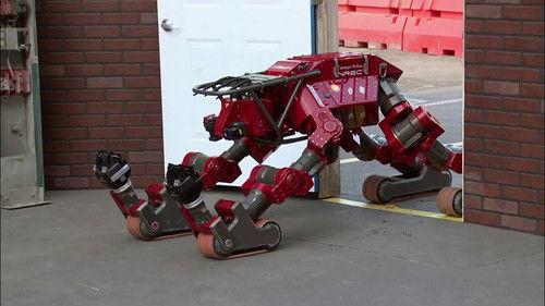 NOVA Season 20 Episode 16 - Roller Coaster!