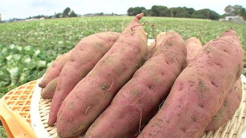Background image for Sweet Potato