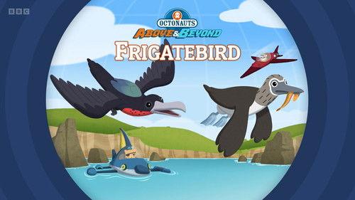 Octonauts: Above & Beyond Season 4 Episode 2 - Frigatebird