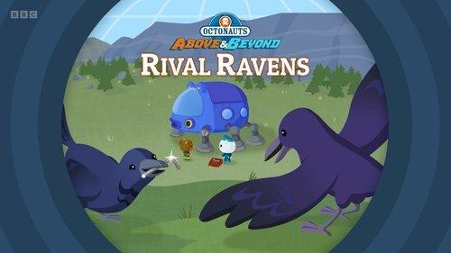 Octonauts: Above & Beyond Season 3 Episode 9 - Rival Ravens