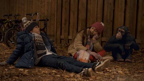 Jane Season 1 Episode 10 - Panthera tigris