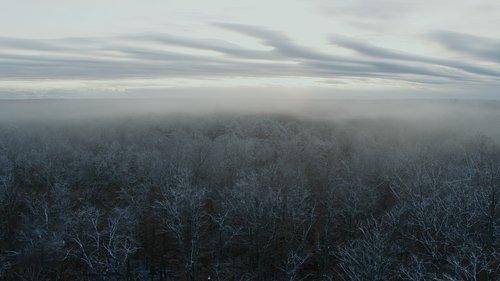 Ambient Swim Season 1 Episode 5 - Relaxing Old Footage with Joe Pera