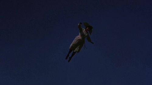 The Flying Nun Season 3 Episode 20 - The Somnaviatrix