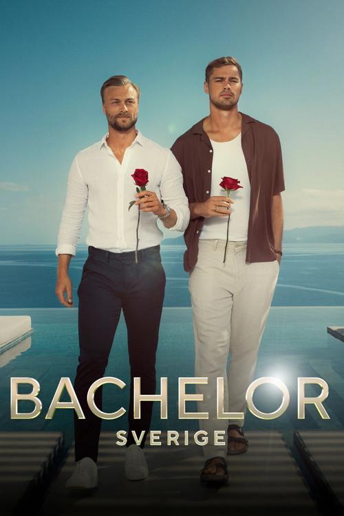 Bachelor Sweden poster