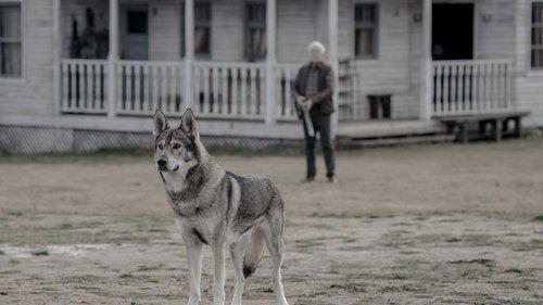 Absentia Season 3 Episode 6 - In Quo Ego Vado Vos