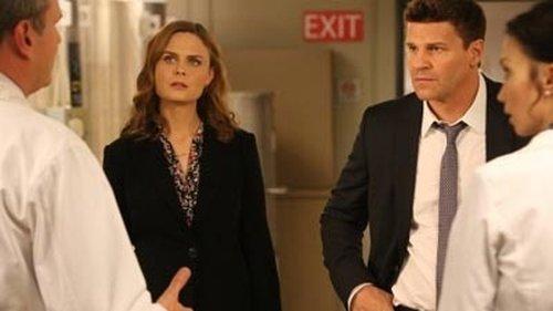 Bones Season 9 Episode 21 - The Cold in the Case