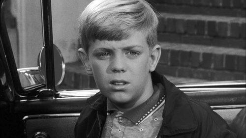 Perry Mason Season 4 Episode 6 - The Case of the Wandering Widow