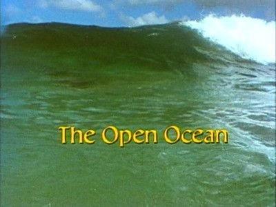 The Living Planet Season 1 Episode 11 - The Open Ocean