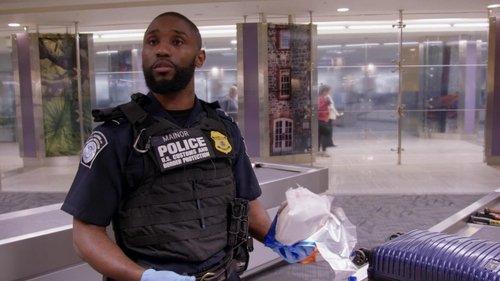 Background image for Endangered and Smuggled