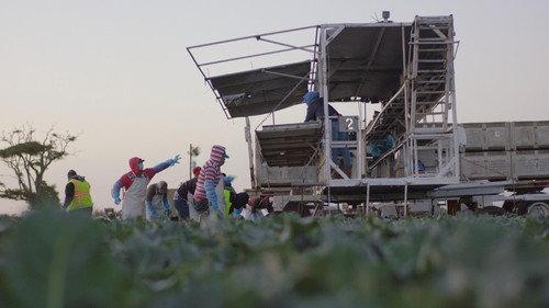 Frontline Season 39 Episode 1 - COVID's Hidden Toll