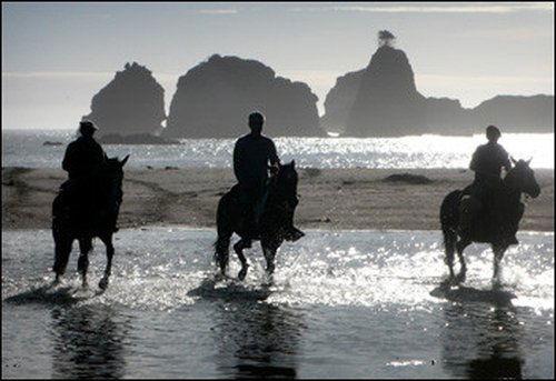 Anthony Bourdain: No Reservations Season 5 Episode 11 - Chile